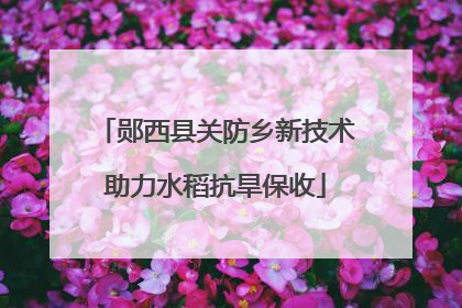 郧西县关防乡新技术助力水稻抗旱保收