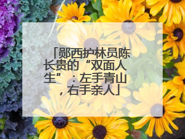 郧西护林员陈长贵的“双面人生”：左手青山，右手亲人