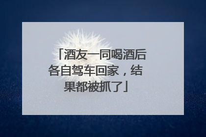 酒友一同喝酒后各自驾车回家，结果都被抓了