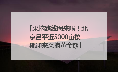 采摘路线图来啦！北京昌平近5000亩樱桃迎来采摘黄金期