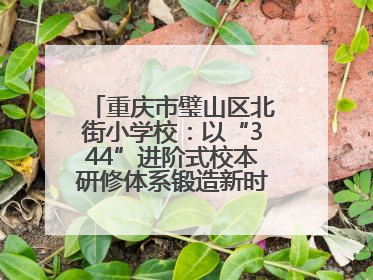 重庆市璧山区北街小学校：以“344”进阶式校本研修体系锻造新时代强师