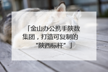 金山办公携手陕数集团，打造可复制的“陕西标杆”