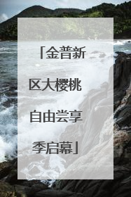 金普新区大樱桃自由尝享季启幕