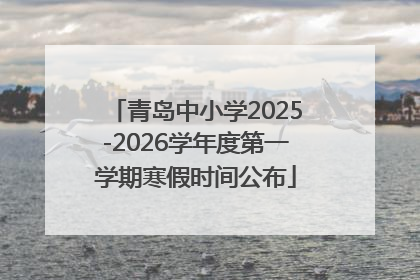 青岛中小学2025-2026学年度第一学期寒假时间公布