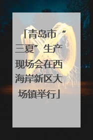 青岛市“三夏”生产现场会在西海岸新区大场镇举行