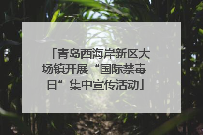 青岛西海岸新区大场镇开展“国际禁毒日”集中宣传活动