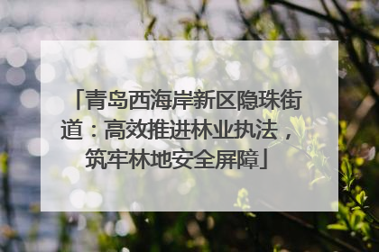 青岛西海岸新区隐珠街道：高效推进林业执法，筑牢林地安全屏障