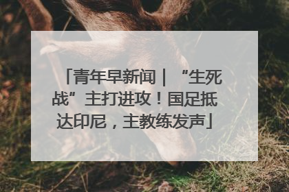 青年早新闻｜“生死战”主打进攻！国足抵达印尼，主教练发声