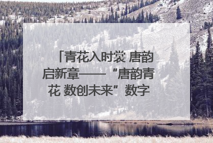 青花入时裳 唐韵启新章——“唐韵青花 数创未来”数字文创设计大赛启幕