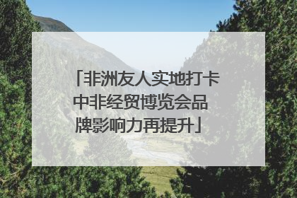 非洲友人实地打卡 中非经贸博览会品牌影响力再提升