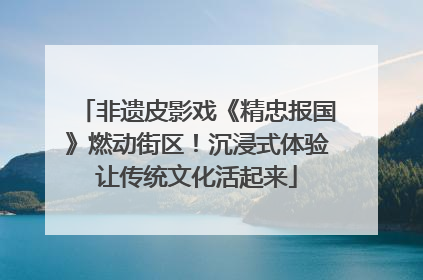 非遗皮影戏《精忠报国》燃动街区！沉浸式体验让传统文化活起来