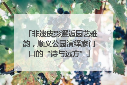 非遗皮影邂逅园艺雅韵，顺义公园演绎家门口的“诗与远方”