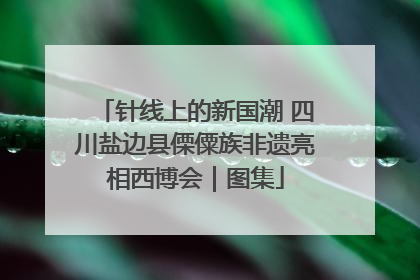 针线上的新国潮 四川盐边县傈僳族非遗亮相西博会｜图集