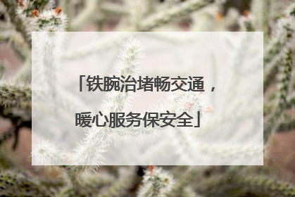 铁腕治堵畅交通，暖心服务保安全