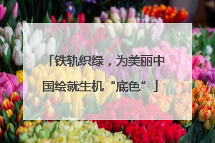 铁轨织绿，为美丽中国绘就生机“底色”