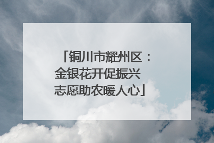 铜川市耀州区：金银花开促振兴 志愿助农暖人心