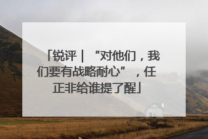 锐评｜“对他们，我们要有战略耐心”，任正非给谁提了醒