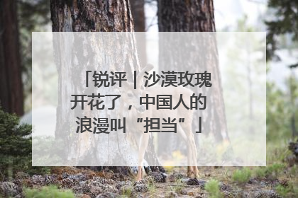 锐评｜沙漠玫瑰开花了，中国人的浪漫叫“担当”