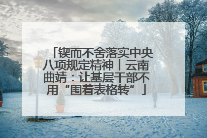 锲而不舍落实中央八项规定精神丨云南曲靖：让基层干部不用“围着表格转”