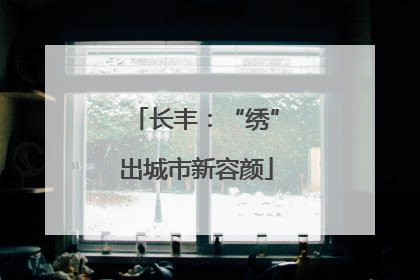 长丰：“绣”出城市新容颜