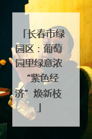 长春市绿园区：葡萄园里绿意浓 “紫色经济”焕新枝