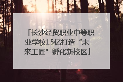 长沙经贸职业中等职业学校15亿打造“未来工匠”孵化新校区
