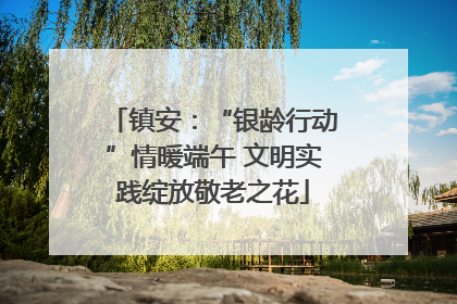 镇安：“银龄行动”情暖端午 文明实践绽放敬老之花
