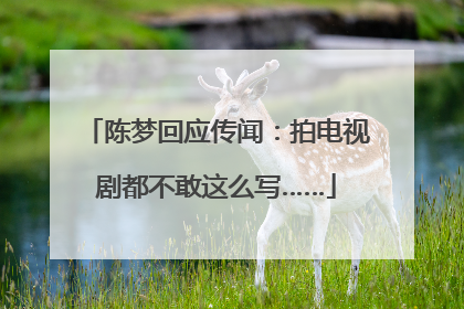 陈梦回应传闻：拍电视剧都不敢这么写……