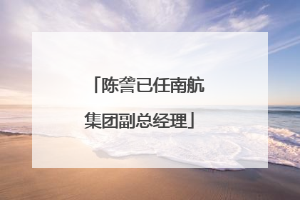陈詟已任南航集团副总经理
