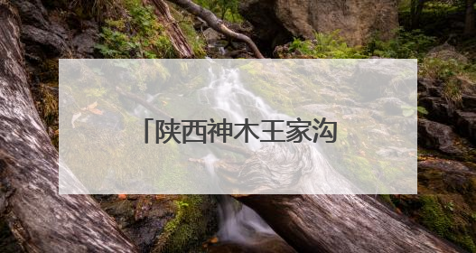 陕西神木王家沟村：农文旅融合 激活乡村活力