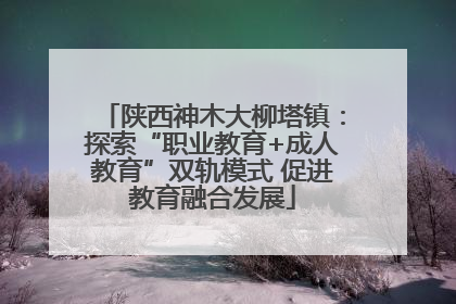陕西神木大柳塔镇：探索“职业教育+成人教育”双轨模式 促进教育融合发展