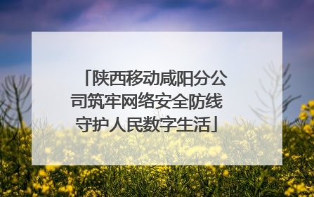 陕西移动咸阳分公司筑牢网络安全防线守护人民数字生活
