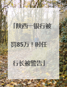 陕西一银行被罚85万！时任行长被警告