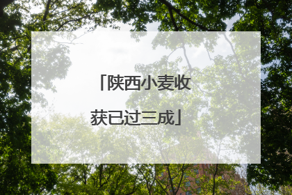 陕西小麦收获已过三成