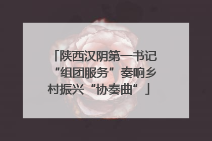 陕西汉阴第一书记“组团服务”奏响乡村振兴“协奏曲”