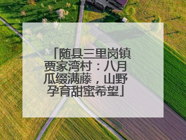 随县三里岗镇贾家湾村：八月瓜缀满藤，山野孕育甜蜜希望