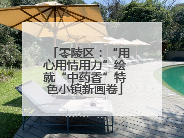 零陵区：“用心用情用力”绘就“中药香”特色小镇新画卷
