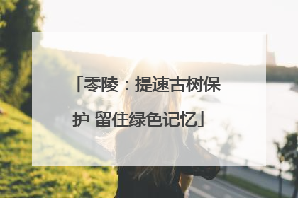 零陵：提速古树保护 留住绿色记忆