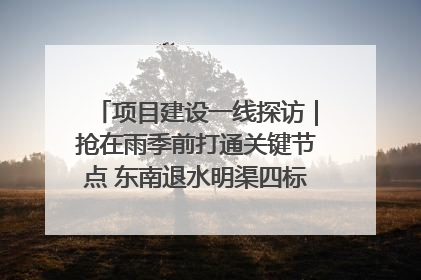 项目建设一线探访｜抢在雨季前打通关键节点 东南退水明渠四标段项目顺利完工