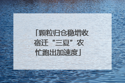 颗粒归仓稳增收 宿迁“三夏”农忙跑出加速度