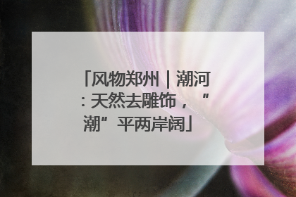 风物郑州｜潮河：天然去雕饰，“潮”平两岸阔
