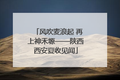 风吹麦浪起 再上神禾塬——陕西西安夏收见闻