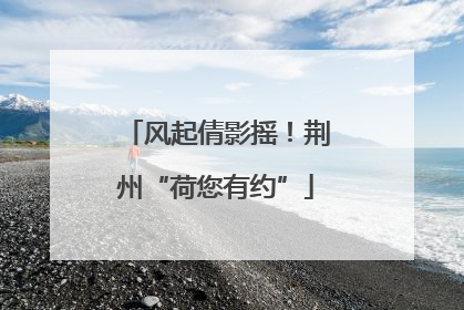 风起倩影摇！荆州“荷您有约”