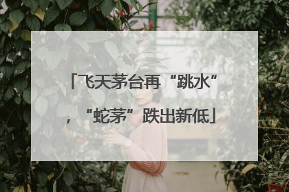 飞天茅台再“跳水”，“蛇茅”跌出新低