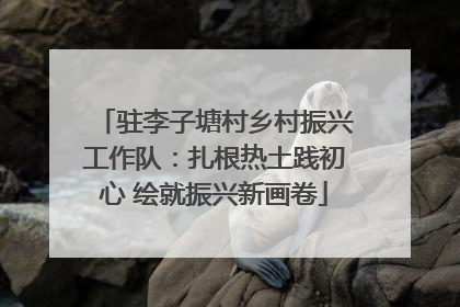 驻李子塘村乡村振兴工作队：扎根热土践初心 绘就振兴新画卷