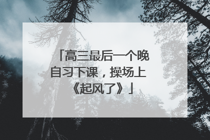 高三最后一个晚自习下课，操场上《起风了》
