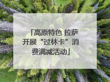 高原特色 拉萨开展“过林卡”消费满减活动