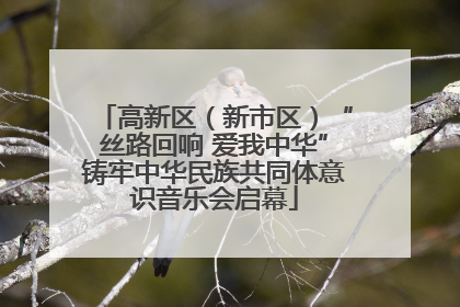 高新区（新市区）“丝路回响 爱我中华”铸牢中华民族共同体意识音乐会启幕