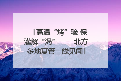 高温“烤”验 保灌解“渴”——北方多地夏管一线见闻