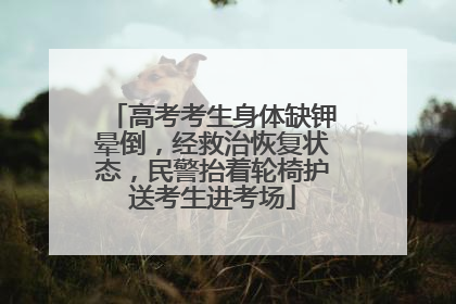 高考考生身体缺钾晕倒，经救治恢复状态，民警抬着轮椅护送考生进考场